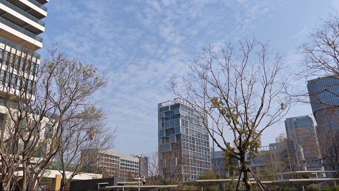 office-backyard-gardon